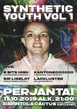 Synthetic Youth Vol. 1 Flyer